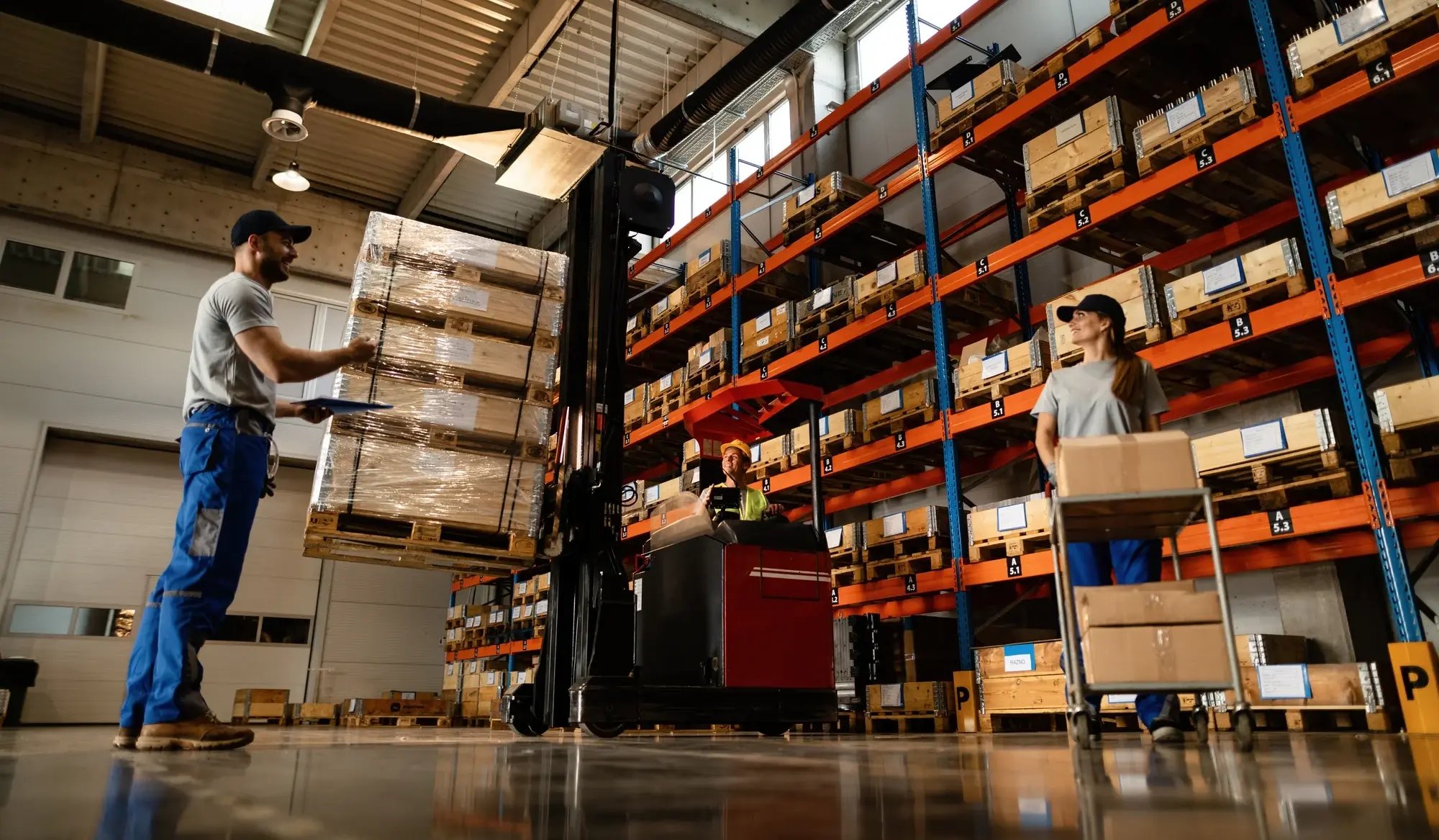 Logistica_5 (1)