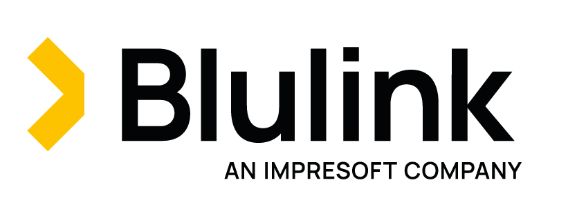 Blulink_Identity_2025_B+Y.png (1)