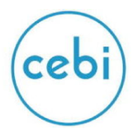 CEBI Motors nel settore automotive usa Mes NET@PRO
