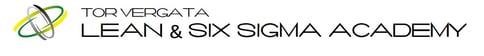 logo rettangolare LEAN SIX SIGMA ACADEMY