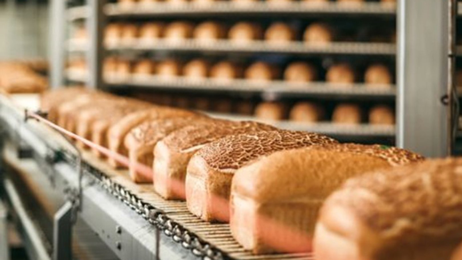 19 settembre 2025 - Food: Digitalizzazione e Innovazione – Il Percorso di Morato Pane con la Suite NET@PRO