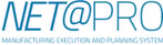 netpro logo 200-2